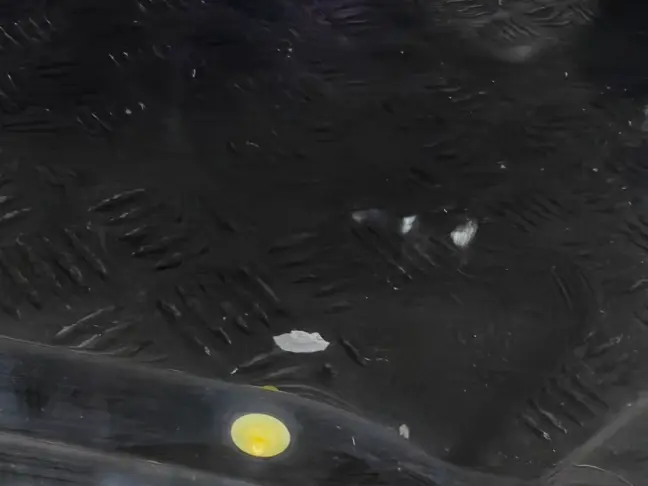 Дверь задняя левая DISCOVERY 3/4 L319  2005 - 2014