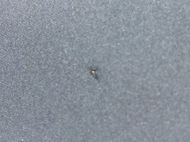 Потолок черный в сборе Range Rover 4 L405