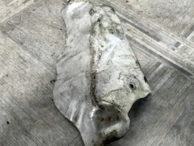 Термозащита коллектора DISCOVERY 3 L319 2.7