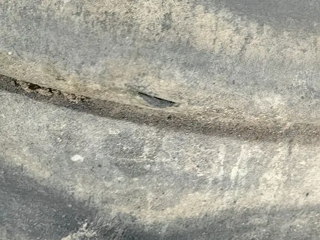 Пневмостойка задняя правая Range Rover Sport L320