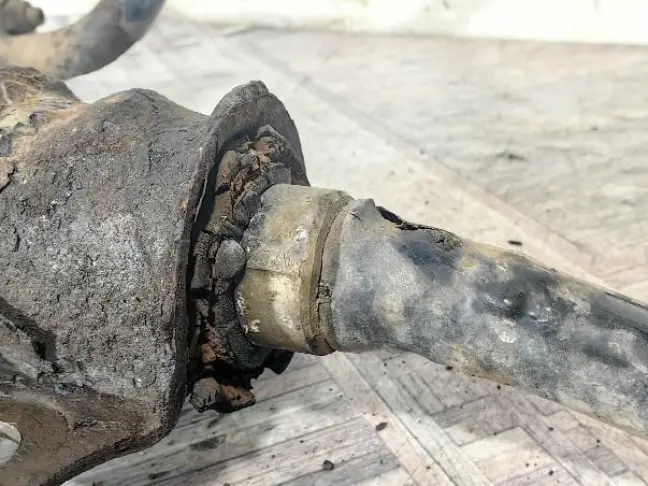 Стабилизатор передний Land Rover Freelander 2 2.2