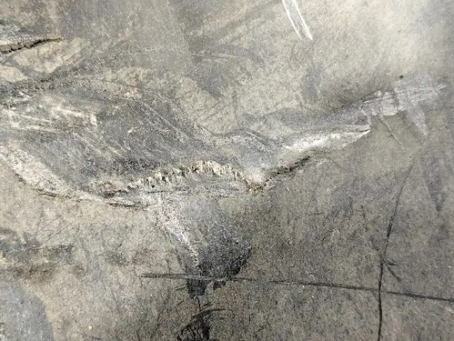 Защита коробки Range Rover Sport L320 3.6