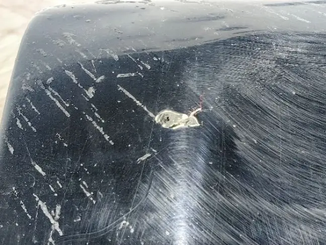 Молдинг переднего правого крыла  Sport L320 05-13