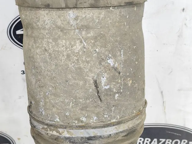 Пневмостойка задняя Range Rover Sport L320