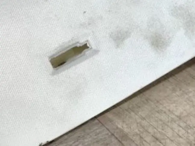 Обшивки стоек передних комплект  Disсovery 5 L462