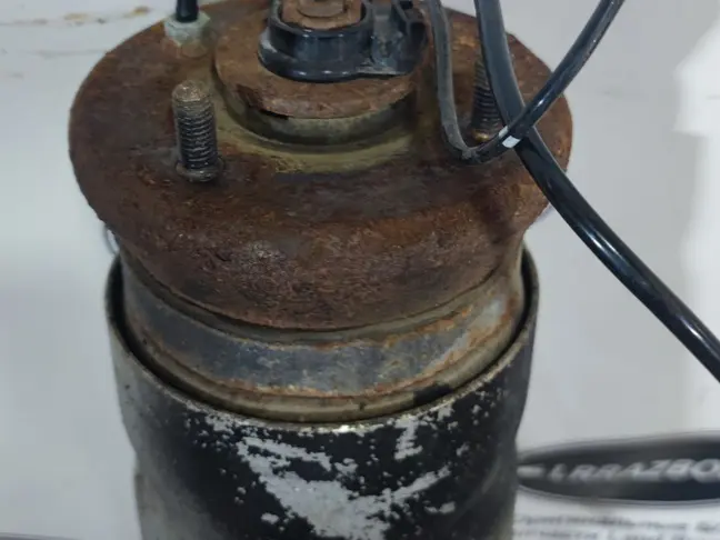 Пневмостойка передняя Land Rover Sport L320 09-13