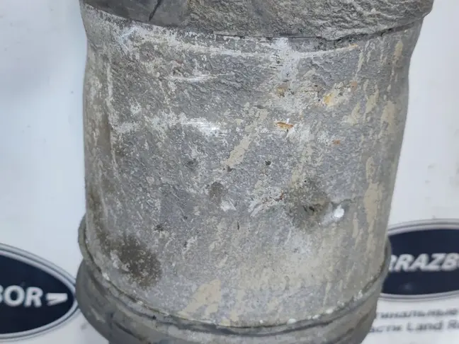 Пневмостойка задняя Range Rover Sport L320