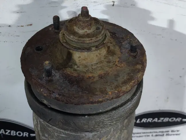 Пневмостойка задняя Range Rover Sport L320