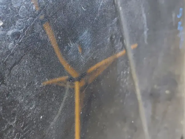 Капот Land Rover Range Rover Sport L320 2005-2013