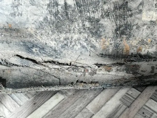 Защита АКПП  Range Rover Sport L320 2009-2013