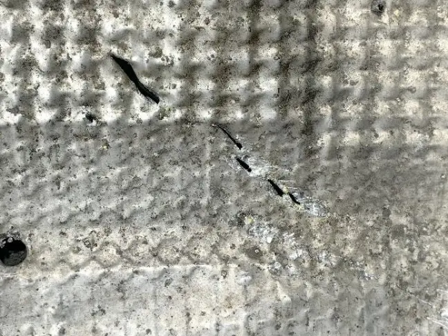 Защита АКПП Range Rover Sport 1 L320 2005-2013