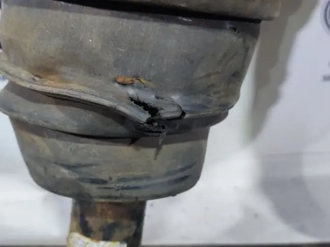 Пневмостойка задняя комплек Range Rover Sport L320