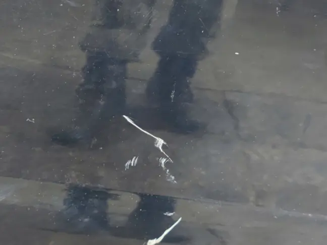 Дверь передняя правая Range Rover Sport L320 05-12