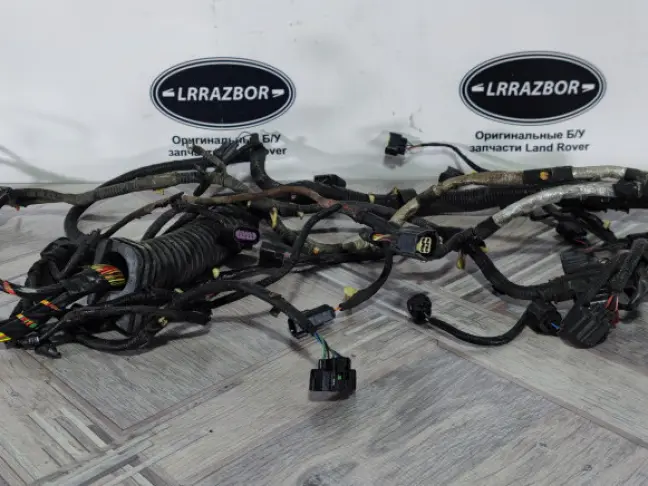 Проводка ДВС коса Range Rover 3 L322 4.2