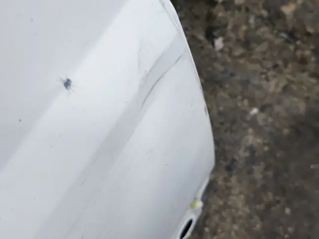 Дверь задняя правая Range Rover Sport L320 05-12