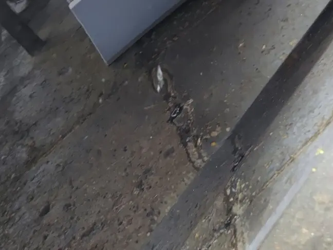 Дверь передняя левая Range Rover Sport L320 05-12