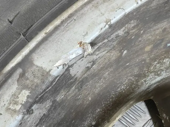 Диски 255 55 19 Land Rover Discovery 3