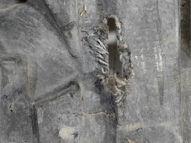 Защита пыльник радиатора Range Rover L322 02-12: фото #3